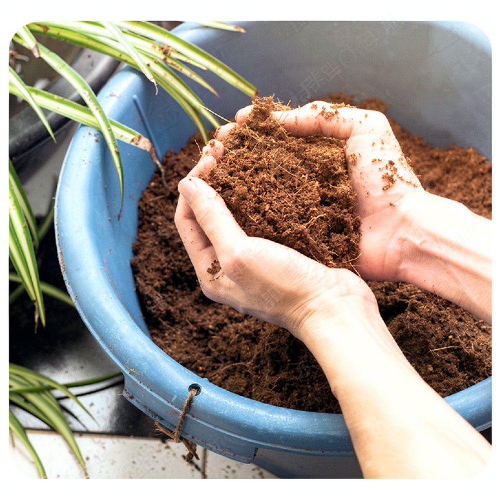 High Absorption Coconut Coir S - Substrate Coconut Fiber 评论和价格